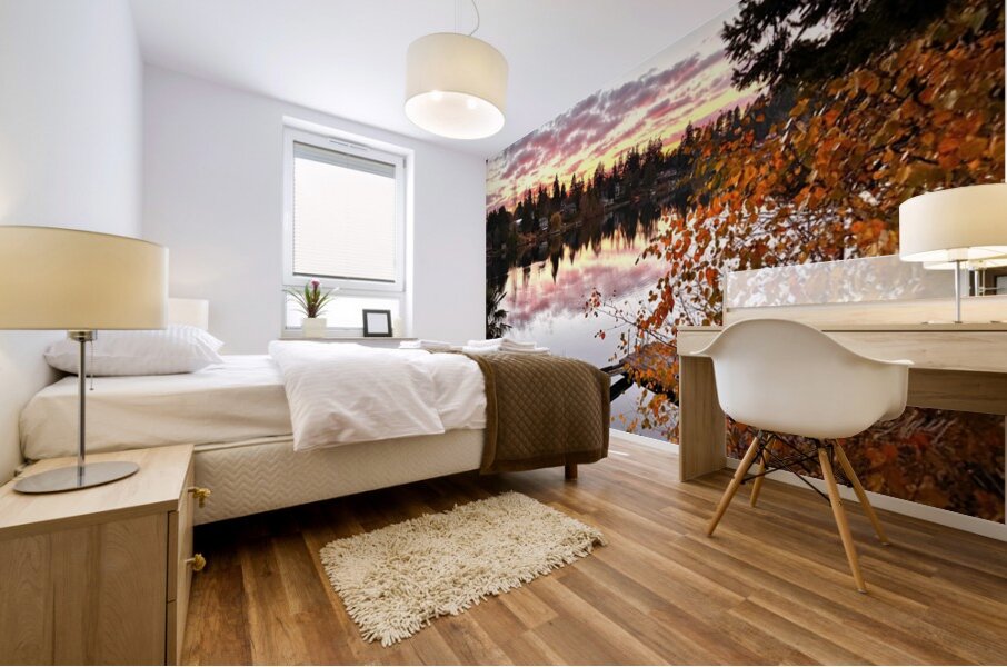 Star Lake Washington - 1 Mural print