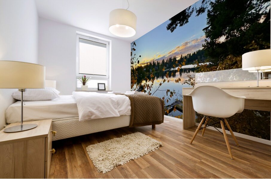 Star Lake Washington - 2 Mural print