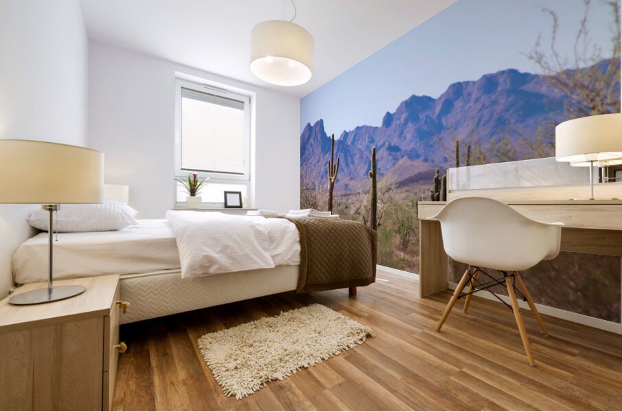 Desert landscape - Quartzsite Mural print