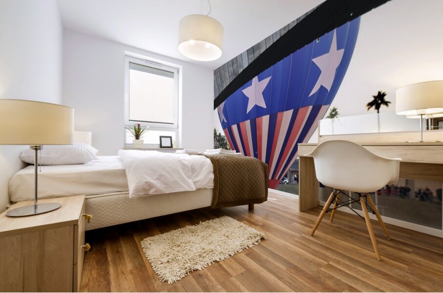 Splash and Dash Mural print