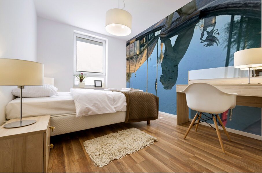 Reflection at the gate to English-2 Mural print