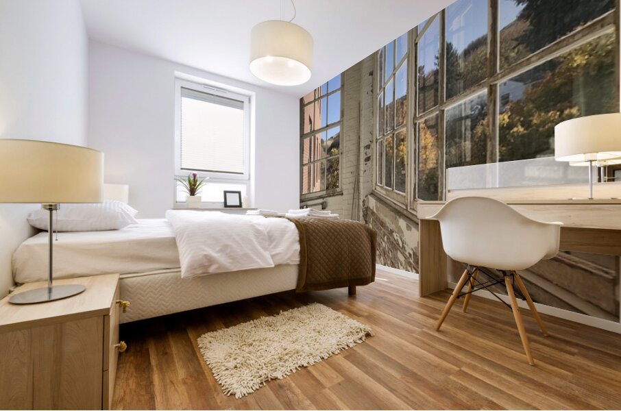 IMG 3402 Mural print