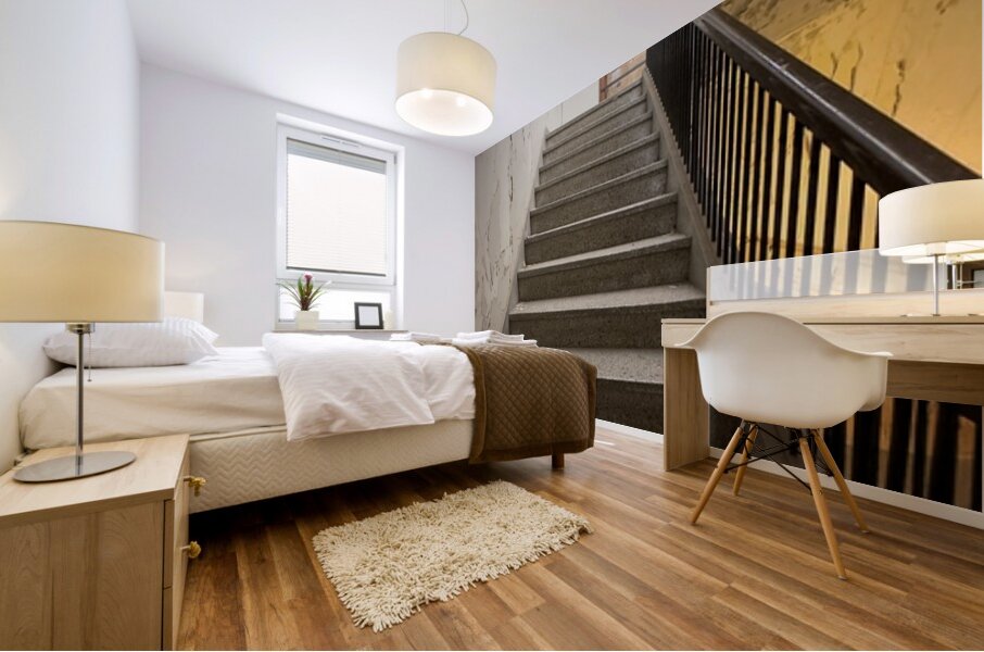 IMG 3404 Mural print