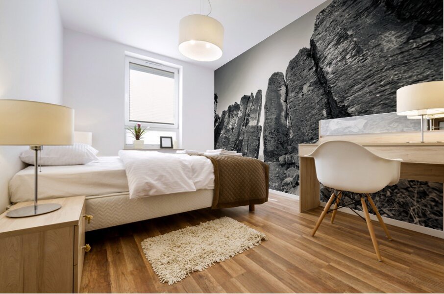 The Feathers Mural print