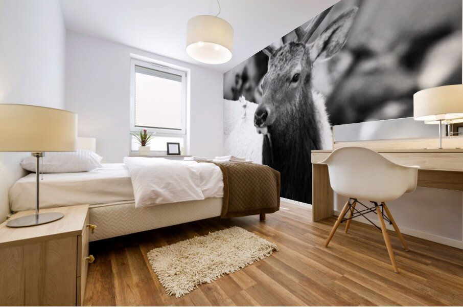 Elk Mural print