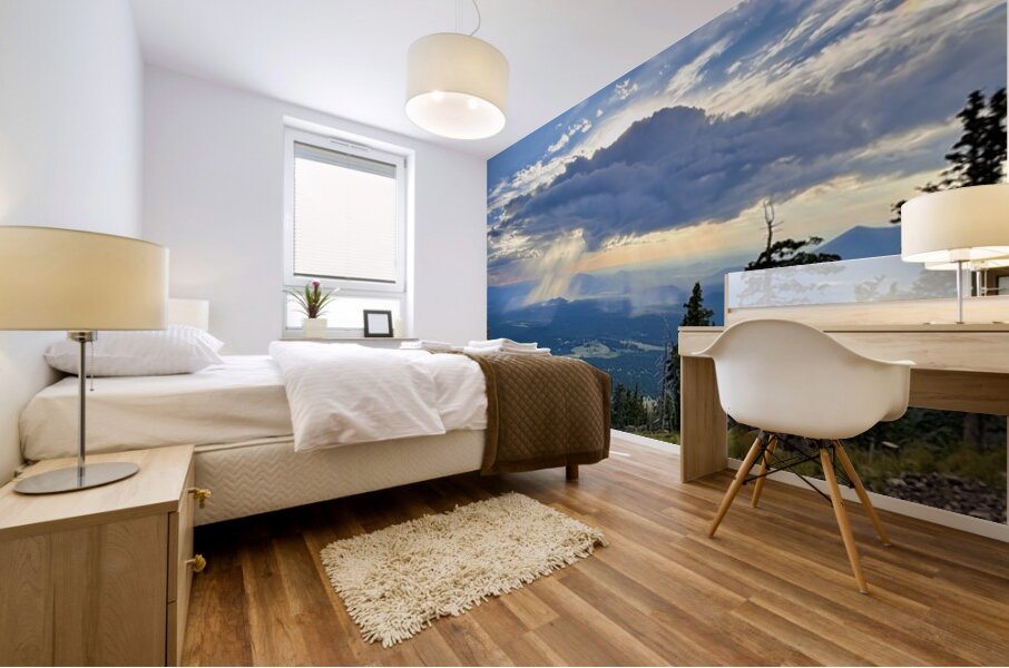 Monsoon Season -1 Mural print