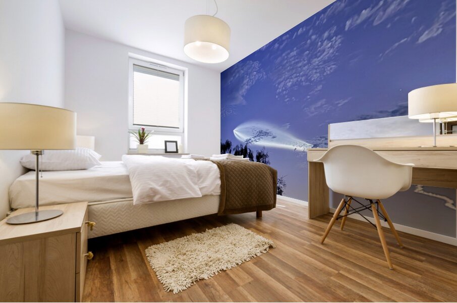 Space X launch -2 Mural print