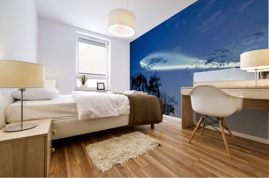 Space X Launch -1 Mural print