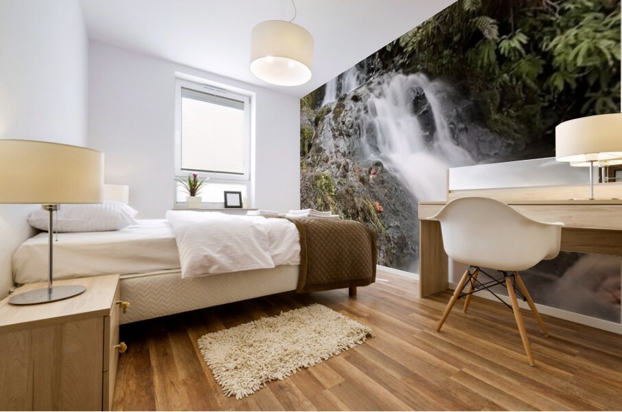 Oregon Waterfall Mural print