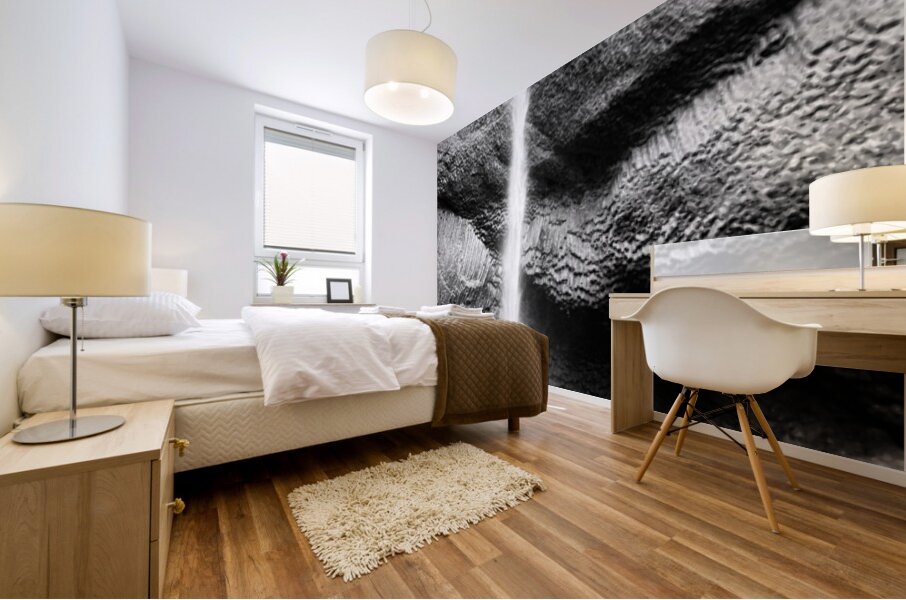 Latourell Falls B & W Mural print