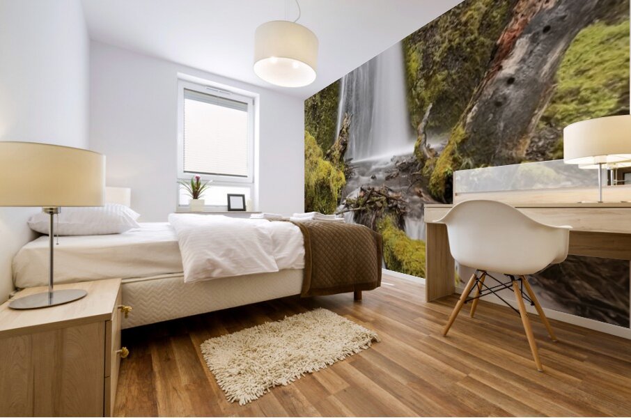 Wahkeena Falls Mural print