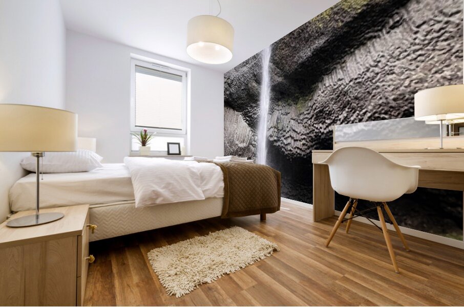 Latourell Falls  Mural print