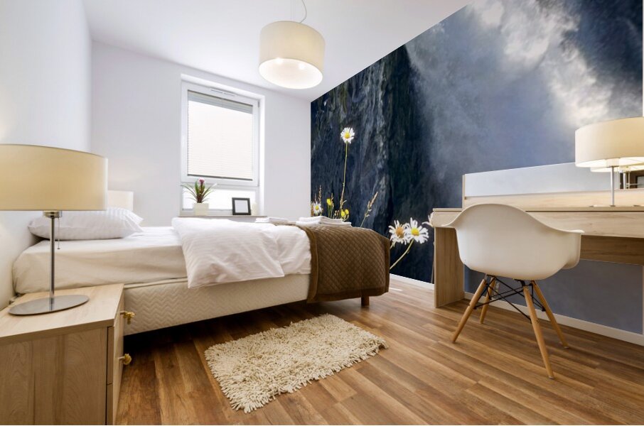 Snoqualmie falls through the Daiseys Mural print