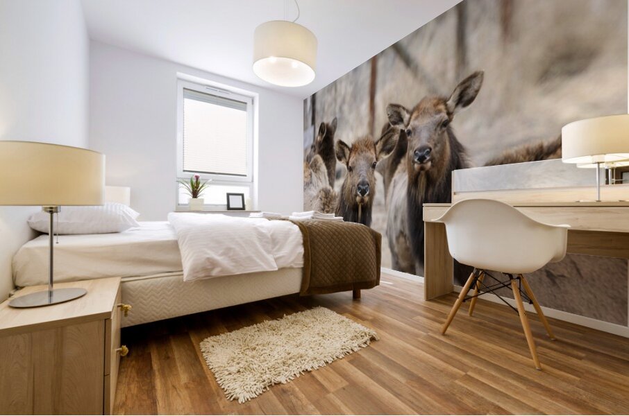 Lady Elks Mural print