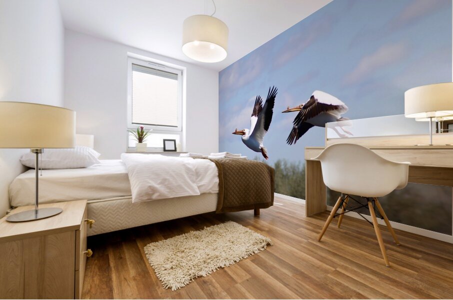 Pelicans Mural print