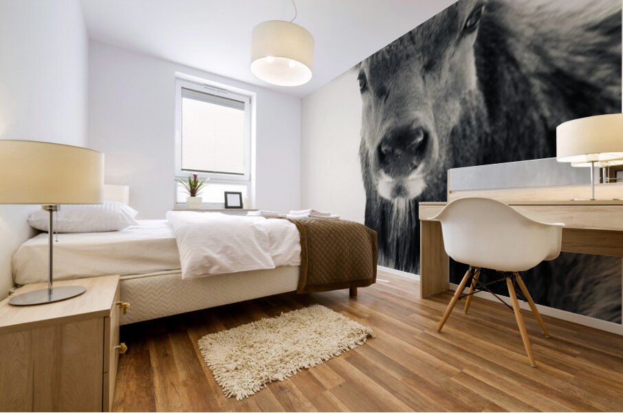 Elk in Black and White  Mural print