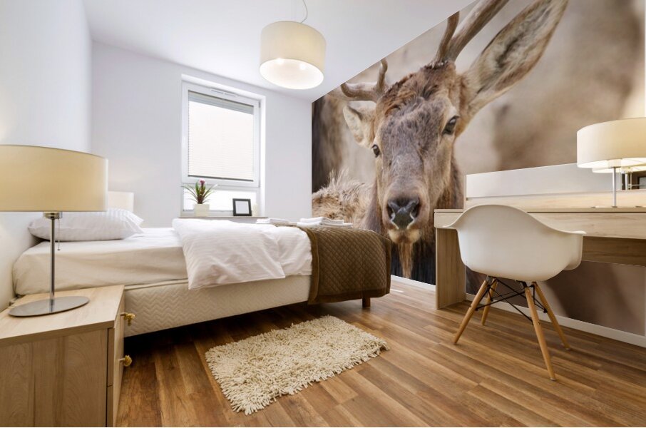 Elk Season Mural print