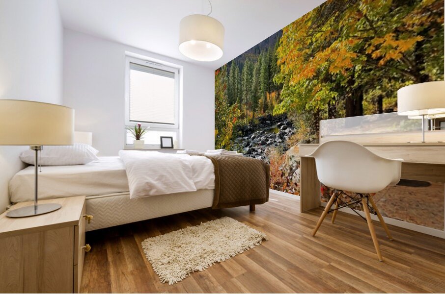 Autumn at Icicle River Mural print