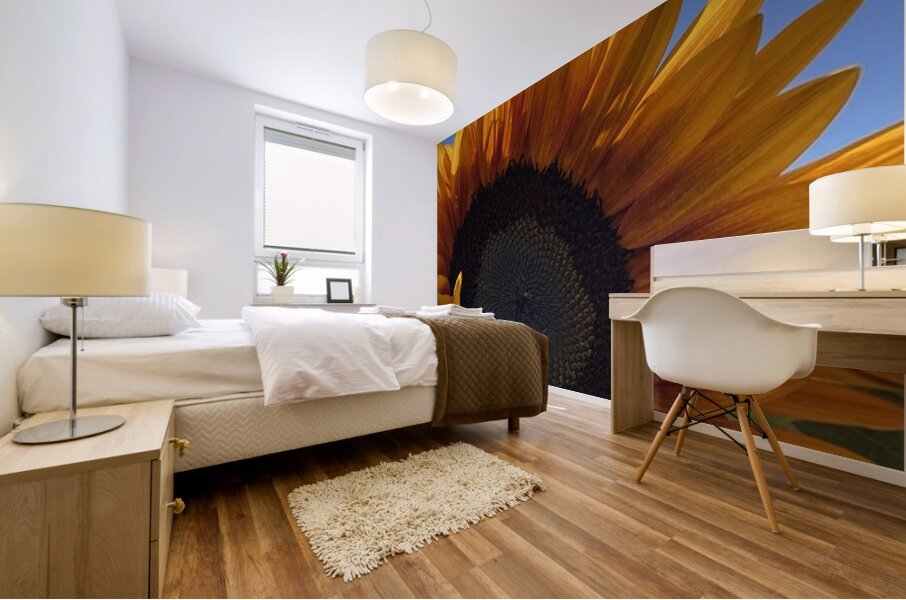 Big Sunflower Mural print