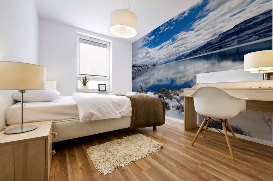 Winter Cove Mural print