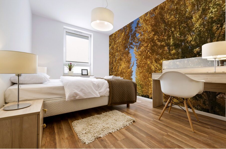 The Road to Cave B Mural print