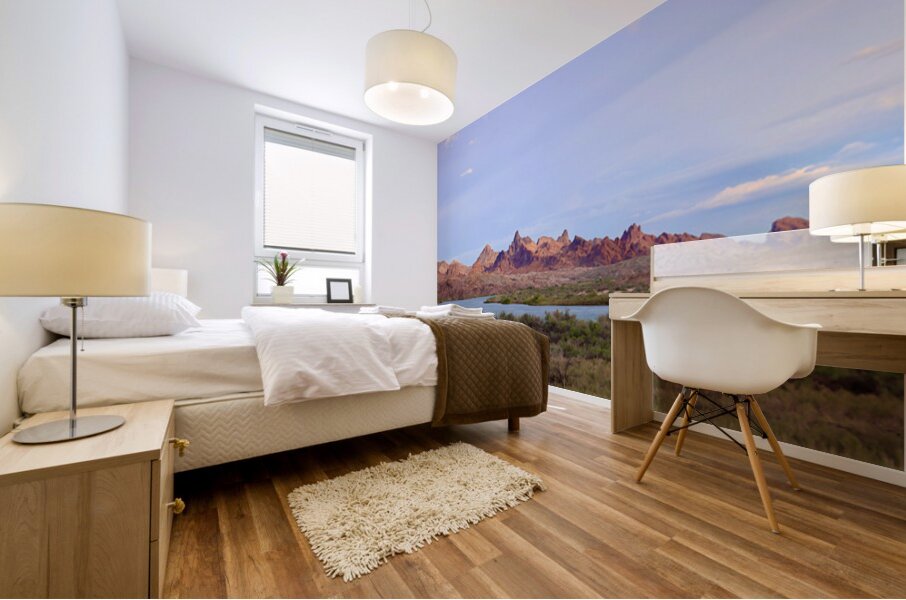 Needles Mountains Mural print