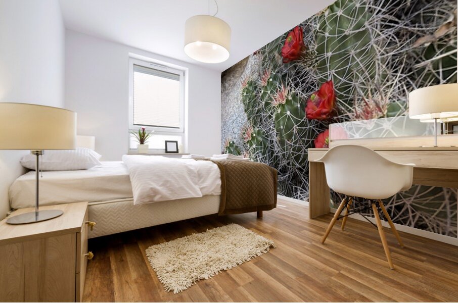Cactus Bloom -Red Mural print