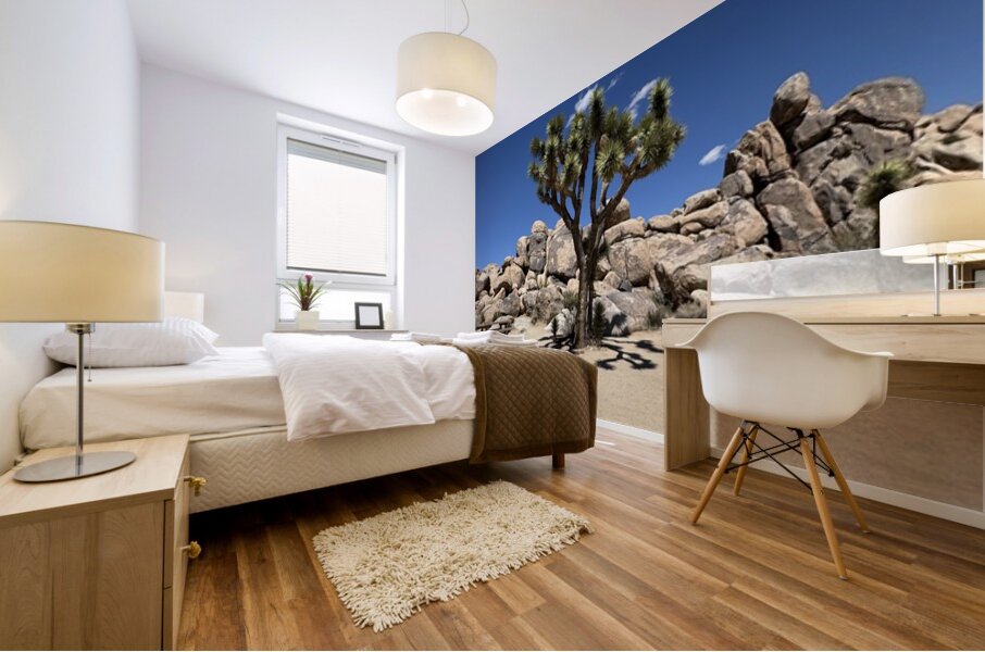 Joshua Tree -3 Mural print
