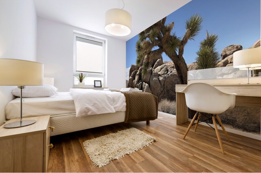 Joshua Tree -1 Mural print