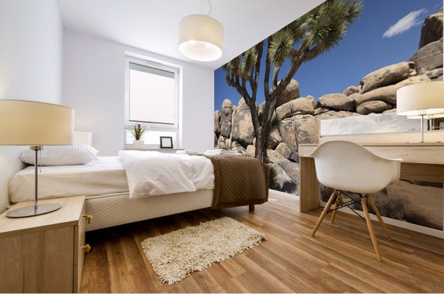 Joshua Tree -2 Mural print