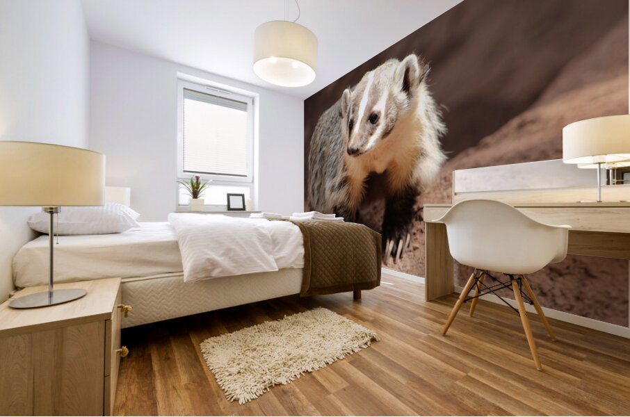 Badger -3 Mural print