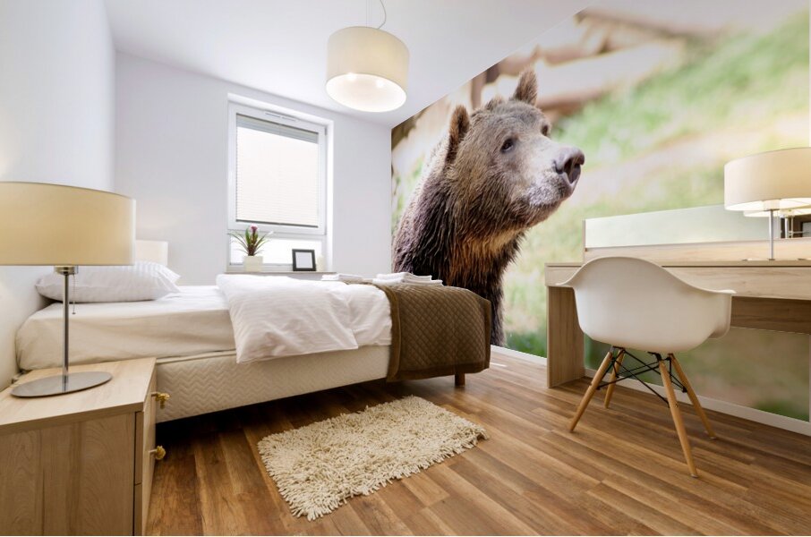 Brown Bear -2 Mural print