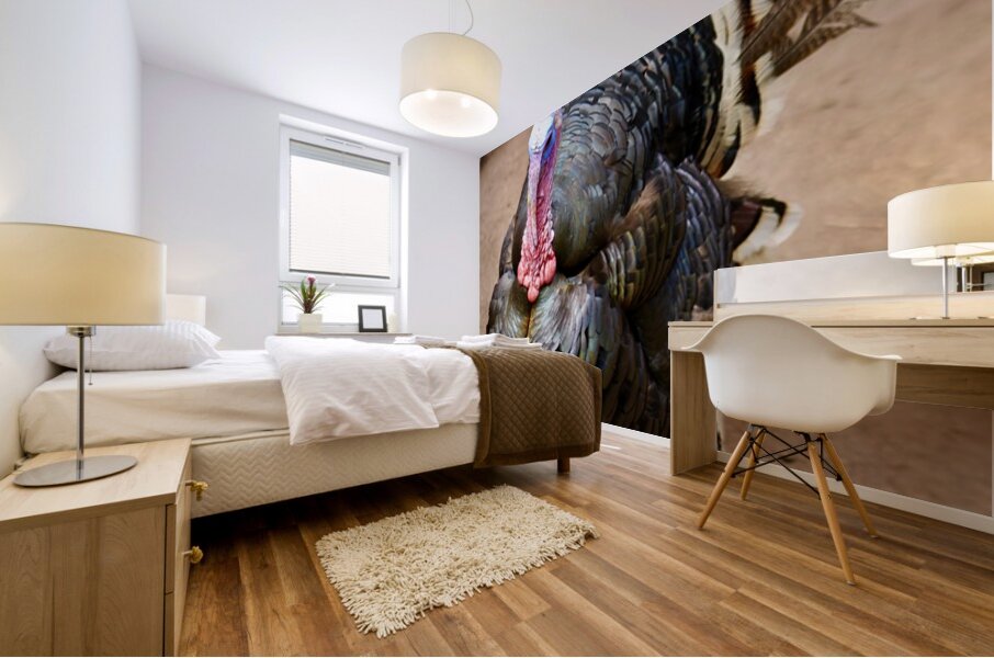 Wild Turkey Mural print