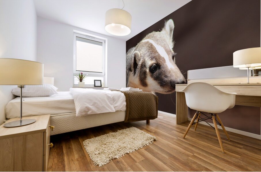 Badger -2 Mural print