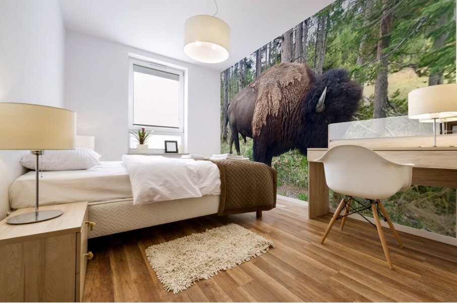 Yellowstone Bison Mural print