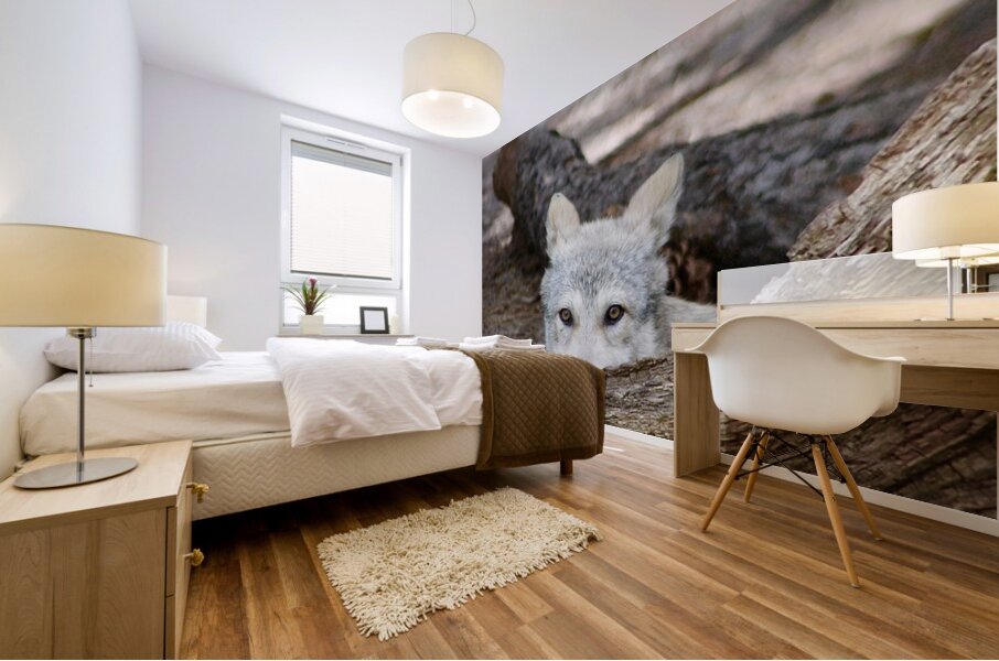 Wolf Hiding Mural print