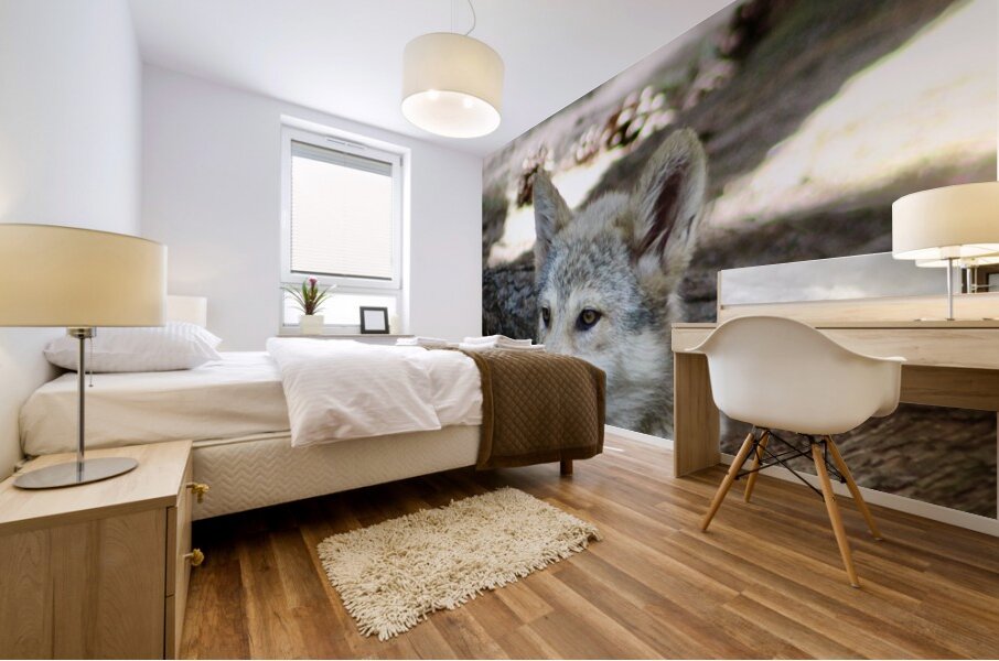 Young Wolf Mural print