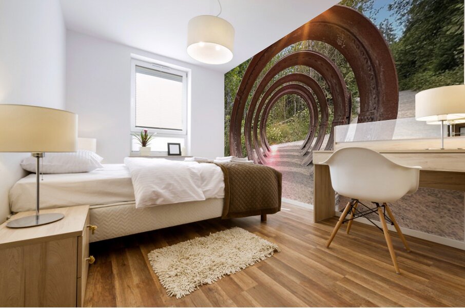 IMG 1694 Mural print