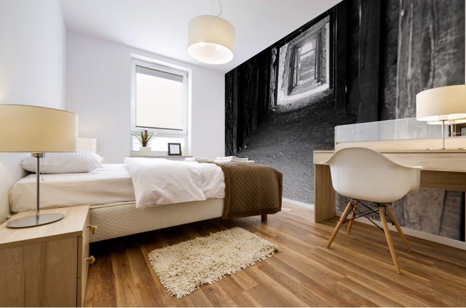 Old mine tunnel -Oatman AZ Mural print