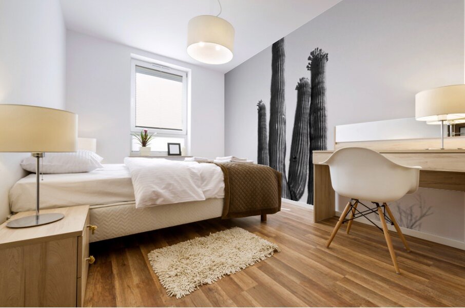 Saguaro Dream in black and white -1 Mural print