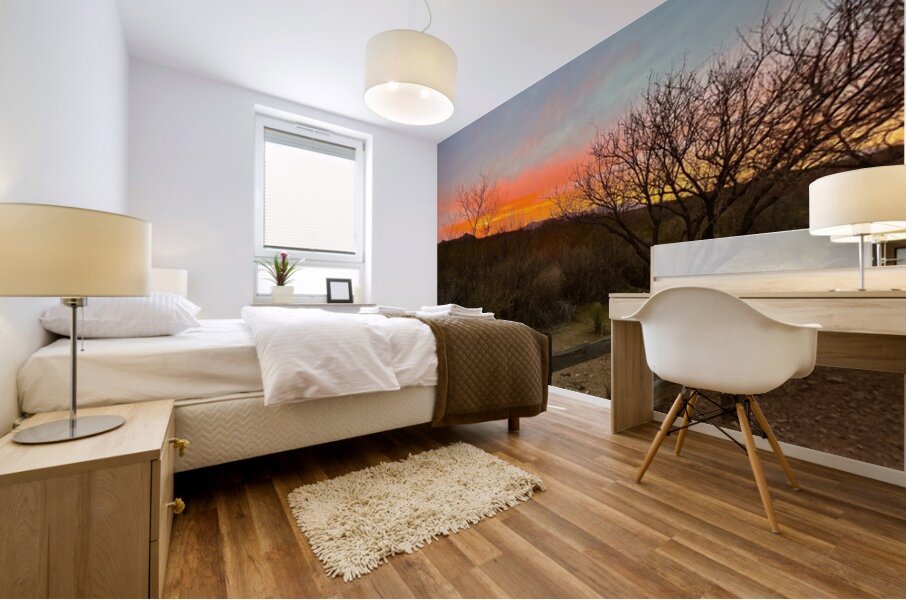 Sundown in Tombstone Mural print