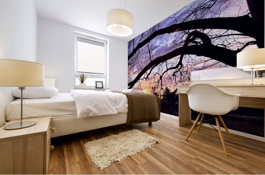 Purple and Orange Mural print