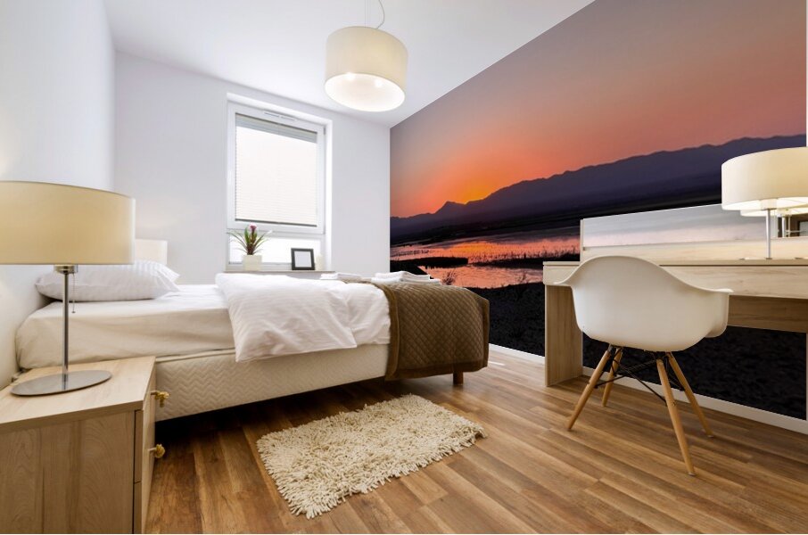Sunset on the Marsh -2 Mural print
