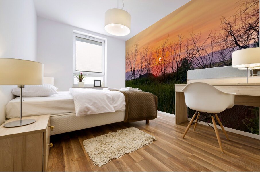 Sunset on Silica Road -2 Mural print