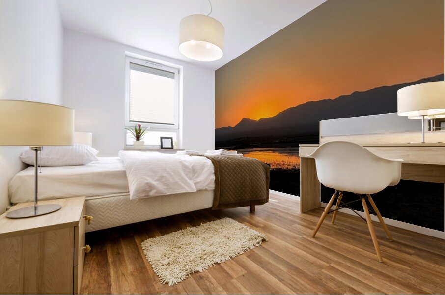 Sunset on the Marsh Mural print