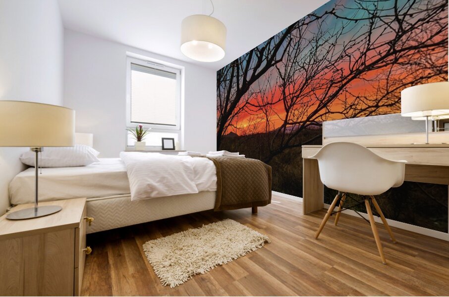 Colors of the Desert Mural print