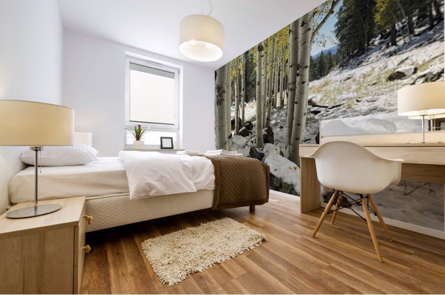 IMG 9854 Mural print