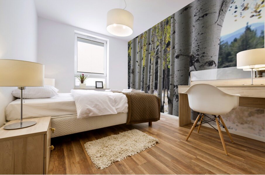 Aspens in Flagstaff Mural print