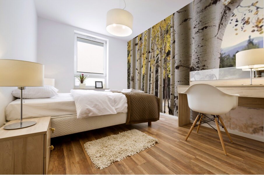 IMG 4712 Mural print