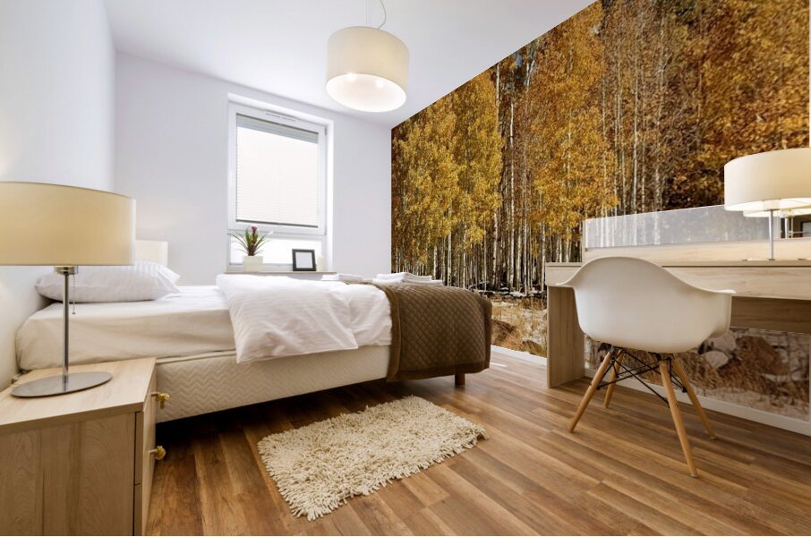 IMG 9899 Mural print